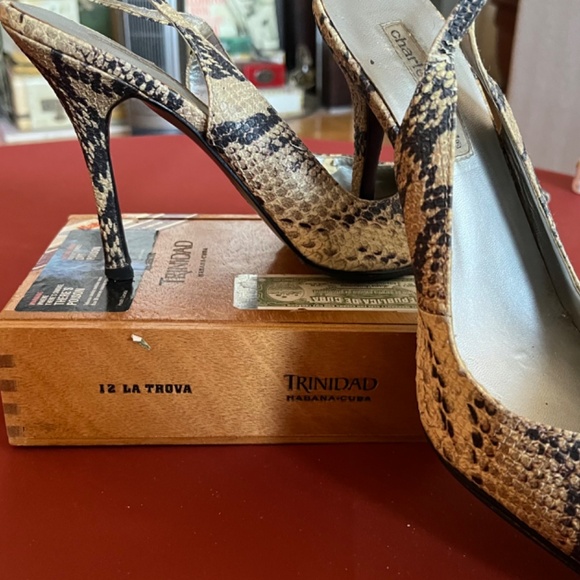 Ladies Designer Heels
Burberry, Costume National, Cavalli, BCBG - Picture 6 of 14